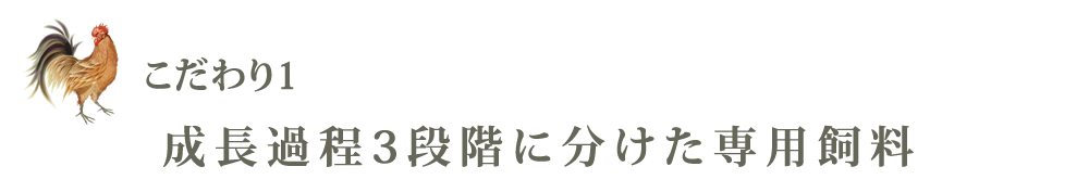 成長過程３段階に分けた専用飼料