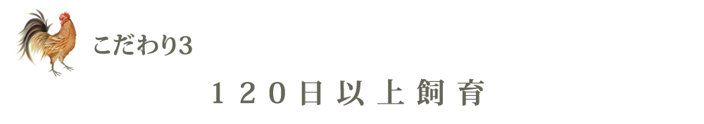 １２０日飼育