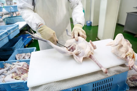 効率的で衛生的な解体作業