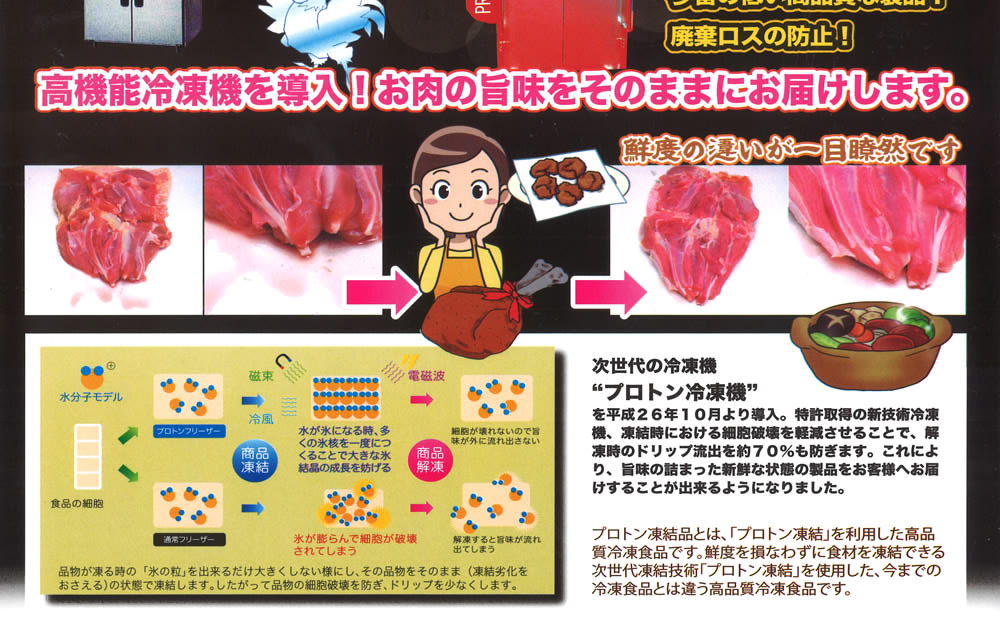 高機能冷凍機を導入