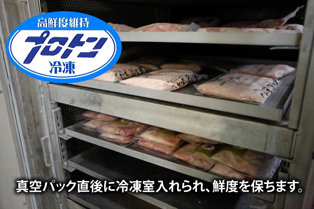 プロトン冷凍
