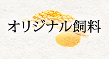 オリジナル飼料