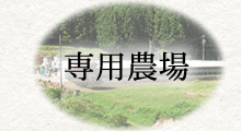 専用農場