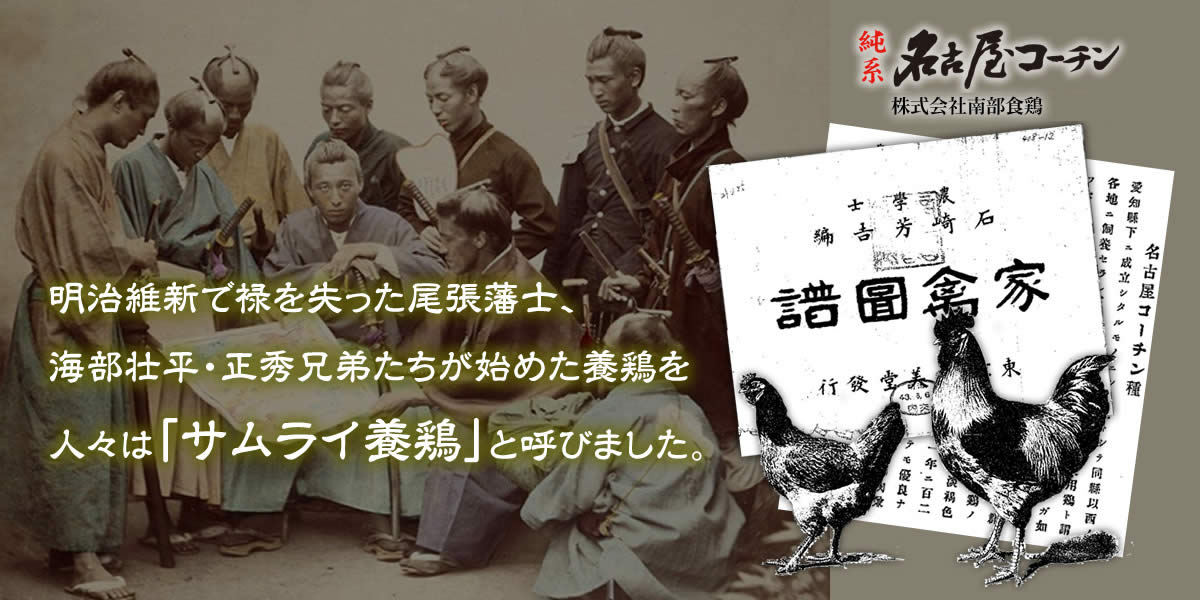サムライ養鶏