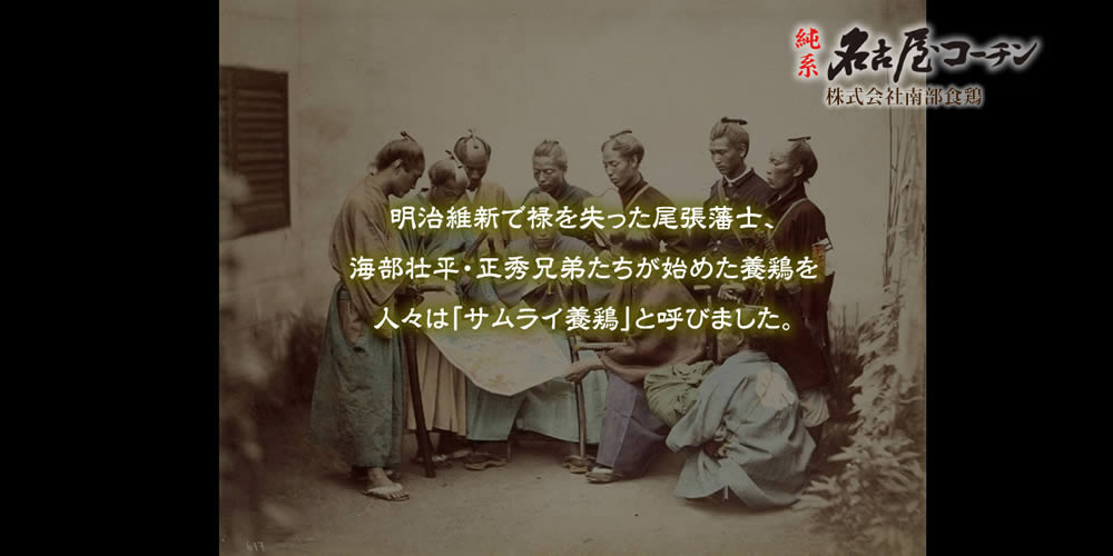 名古屋コーチンの歴史