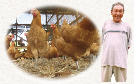 直営契約名古屋コーチン専用農場