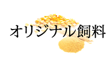 オリジナル飼料