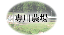 専用農場