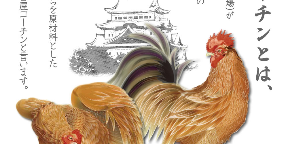 純系名古屋コーチンとは02