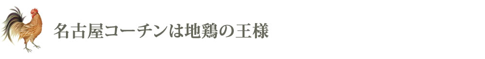名古屋コーチンは地鶏の王様