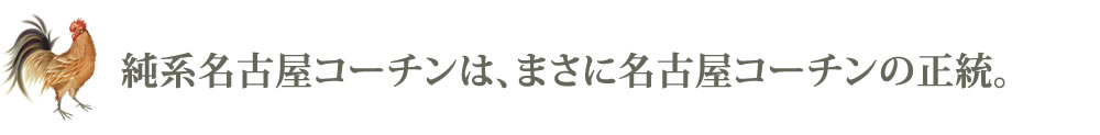 純系名古屋コーチンは名古屋コーチンの正統