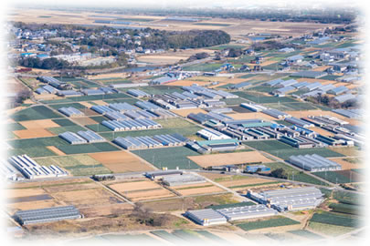 豊かな自然の中で育まれた名古屋コーチン