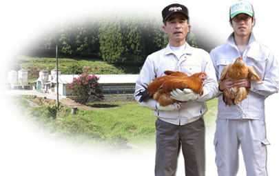 安心・安全な名古屋コーチンをお届けします