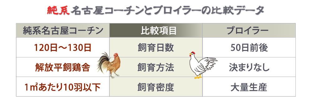 純系名古屋コーチンとブロイラーとの比較データ