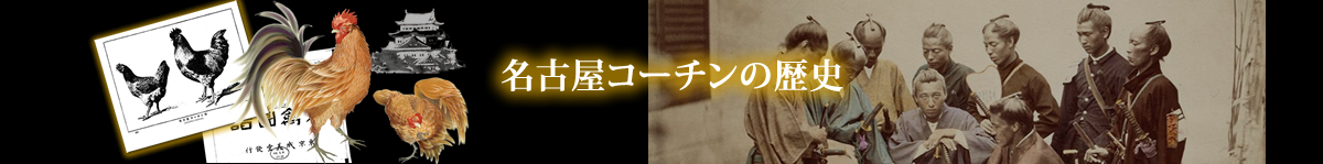 名古屋コーチンの歴史