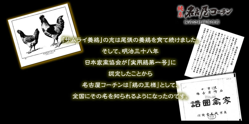 名古屋コーチンは鶏の王様として全国へ