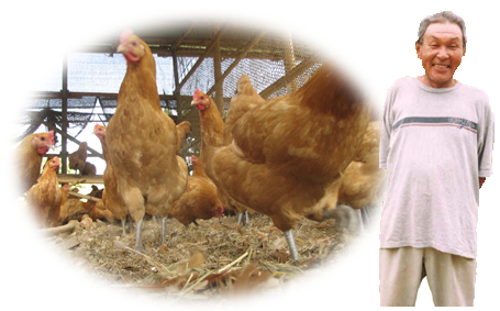 直営契約名古屋コーチン専用農場