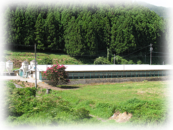 安全のこだわり