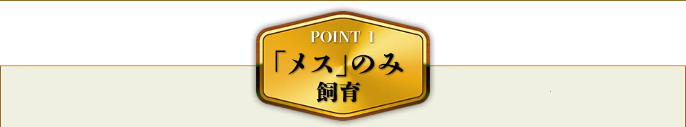 メスのみ飼育
